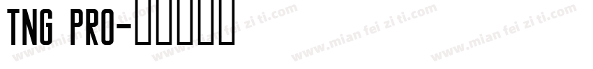 TNG Pro字体转换